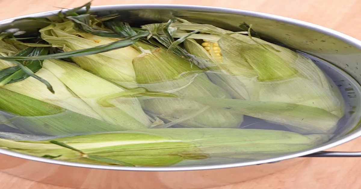 grilling ears of corn in husk